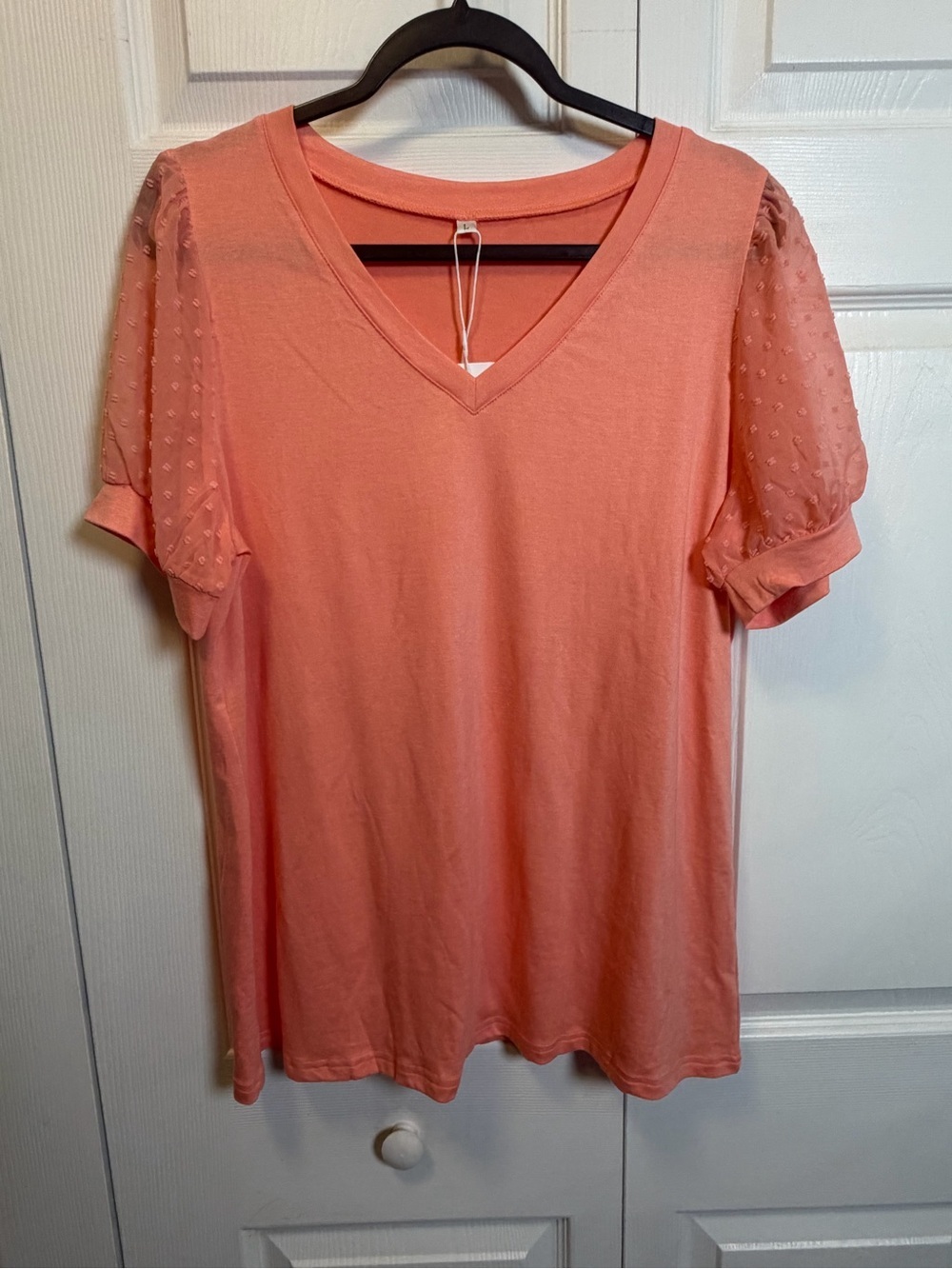 Aokosor Coral V Neck Swiss Dot Puff Sleeve Top NWT Size Large